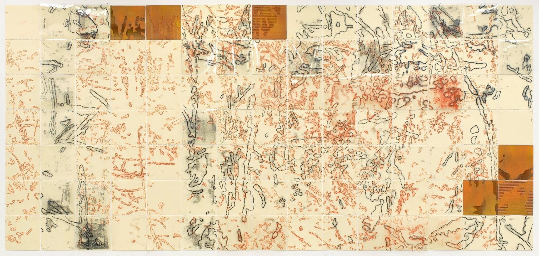 Reality Map 1, 2025, trace monotypes, acetate transparencies, cardboard, pastel pigment, 184 x 84 inches