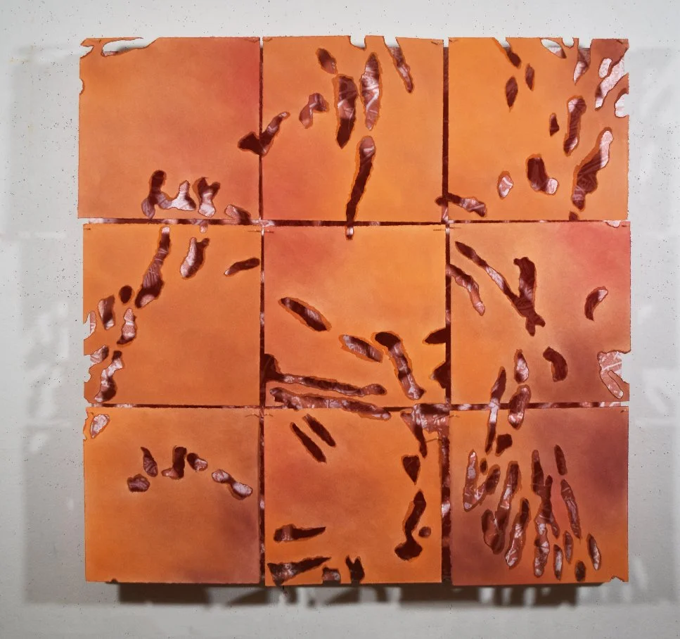 Red Orange Stratum, 2025, torn paper, digital photo, bamboo skewers, 37 x 37 x 4 inches