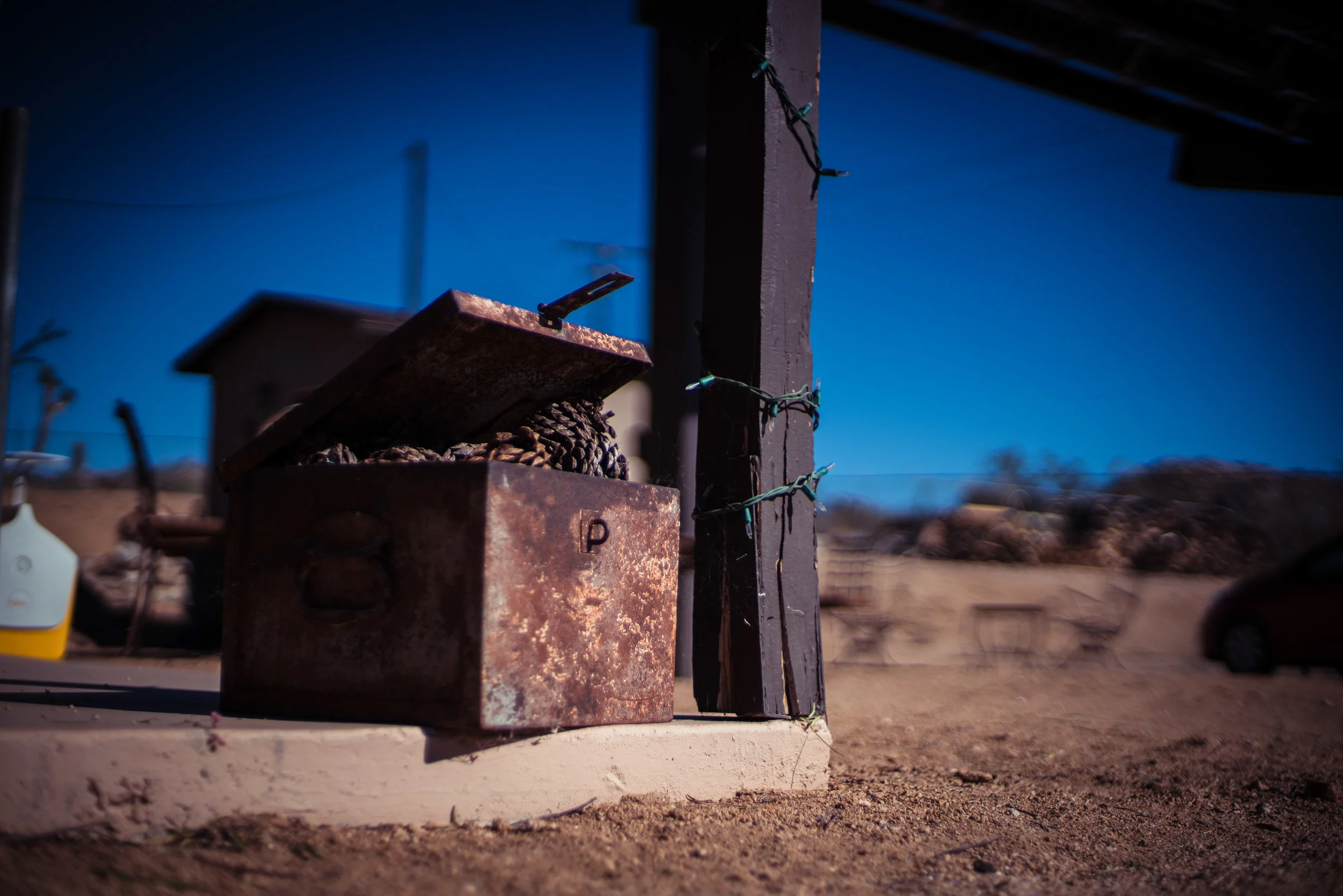 Joshua Tree-188.jpg
