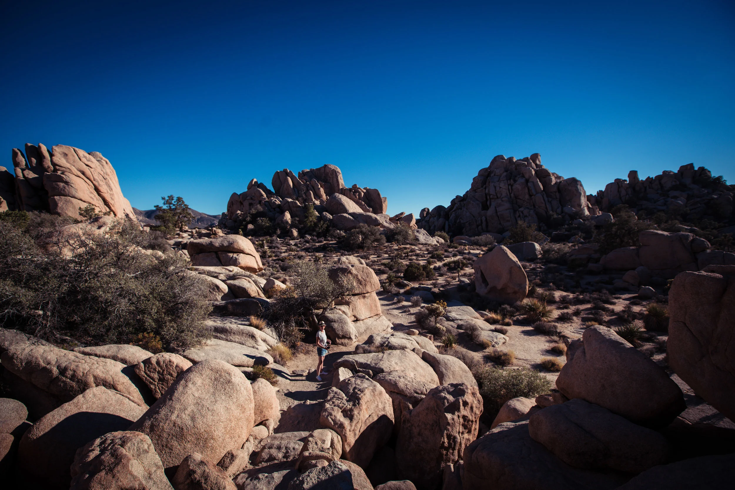 Joshua Tree-349.jpg