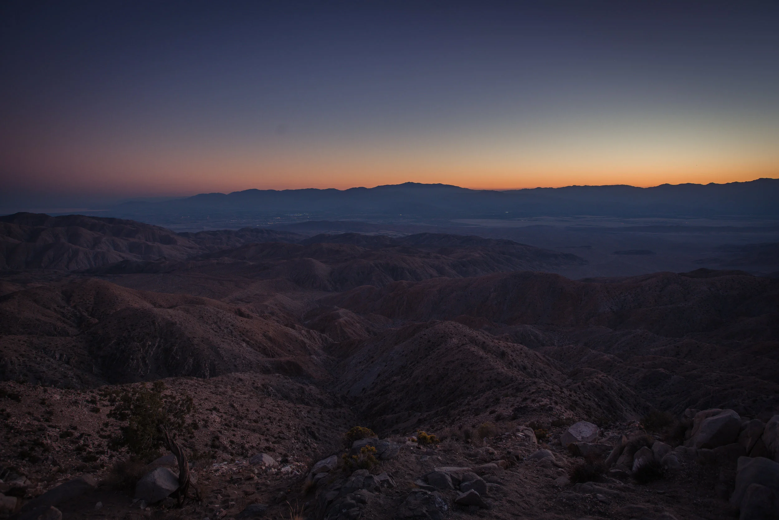 Joshua Tree-446.jpg