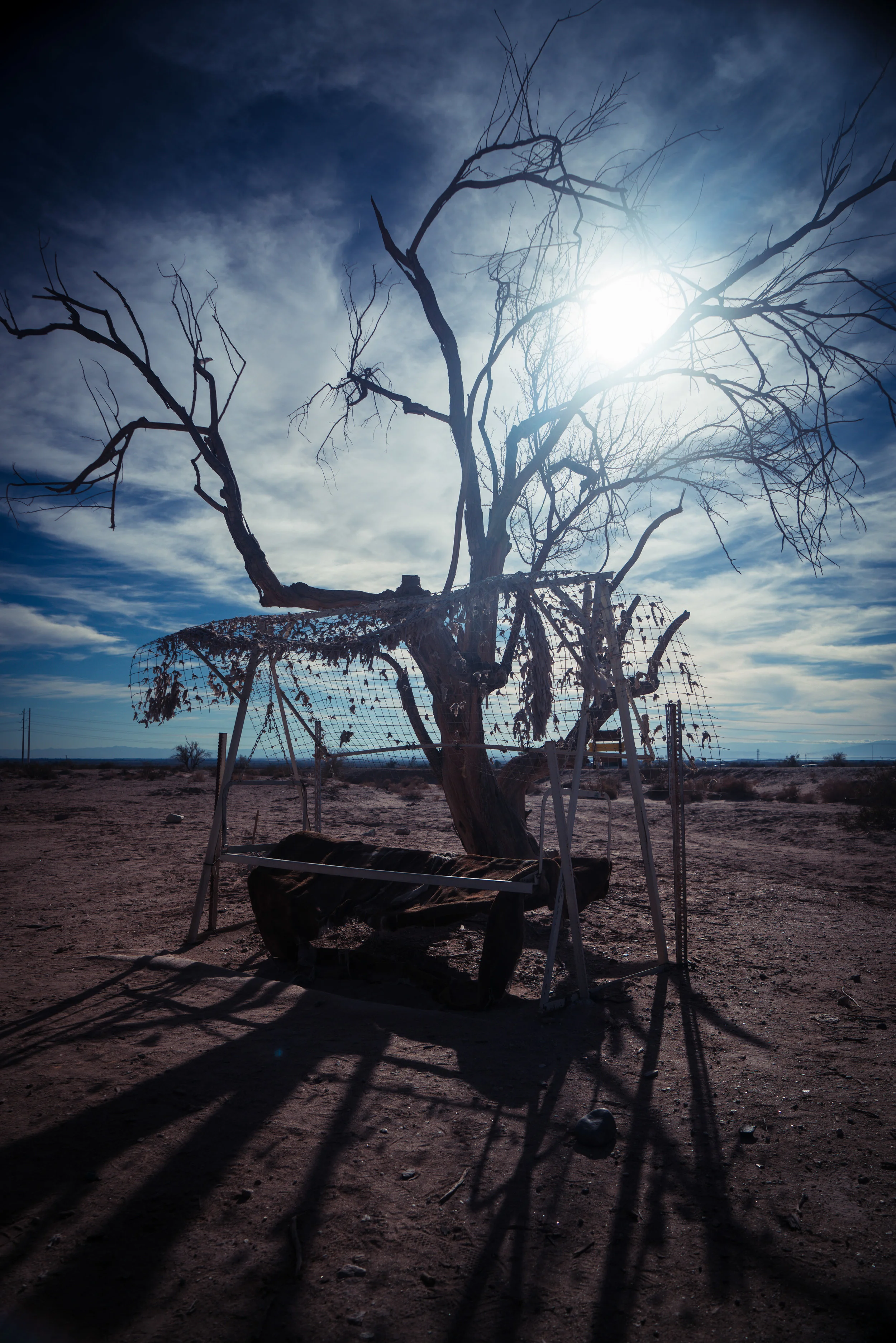 Joshua Tree-597.jpg