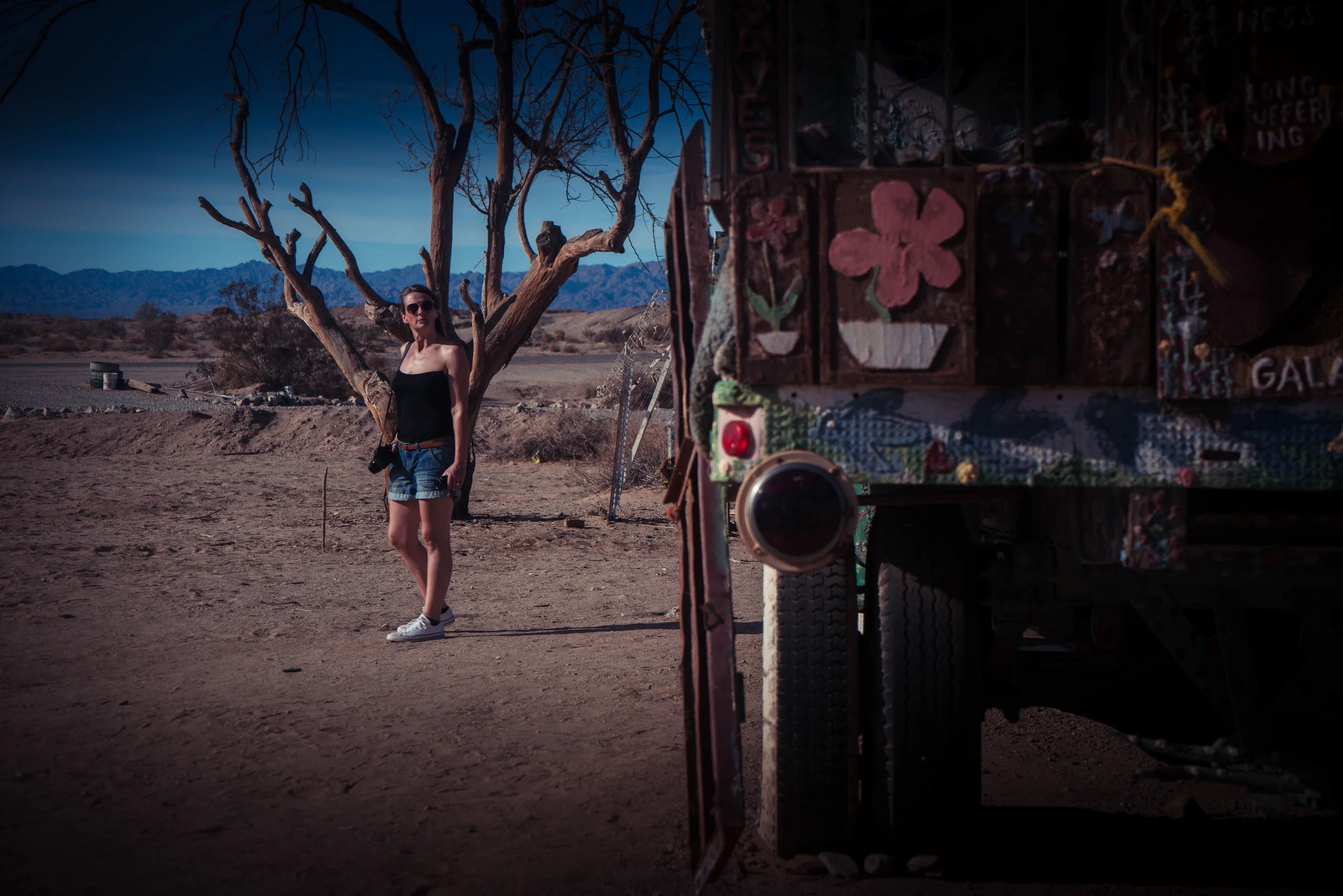 Joshua Tree-601.jpg