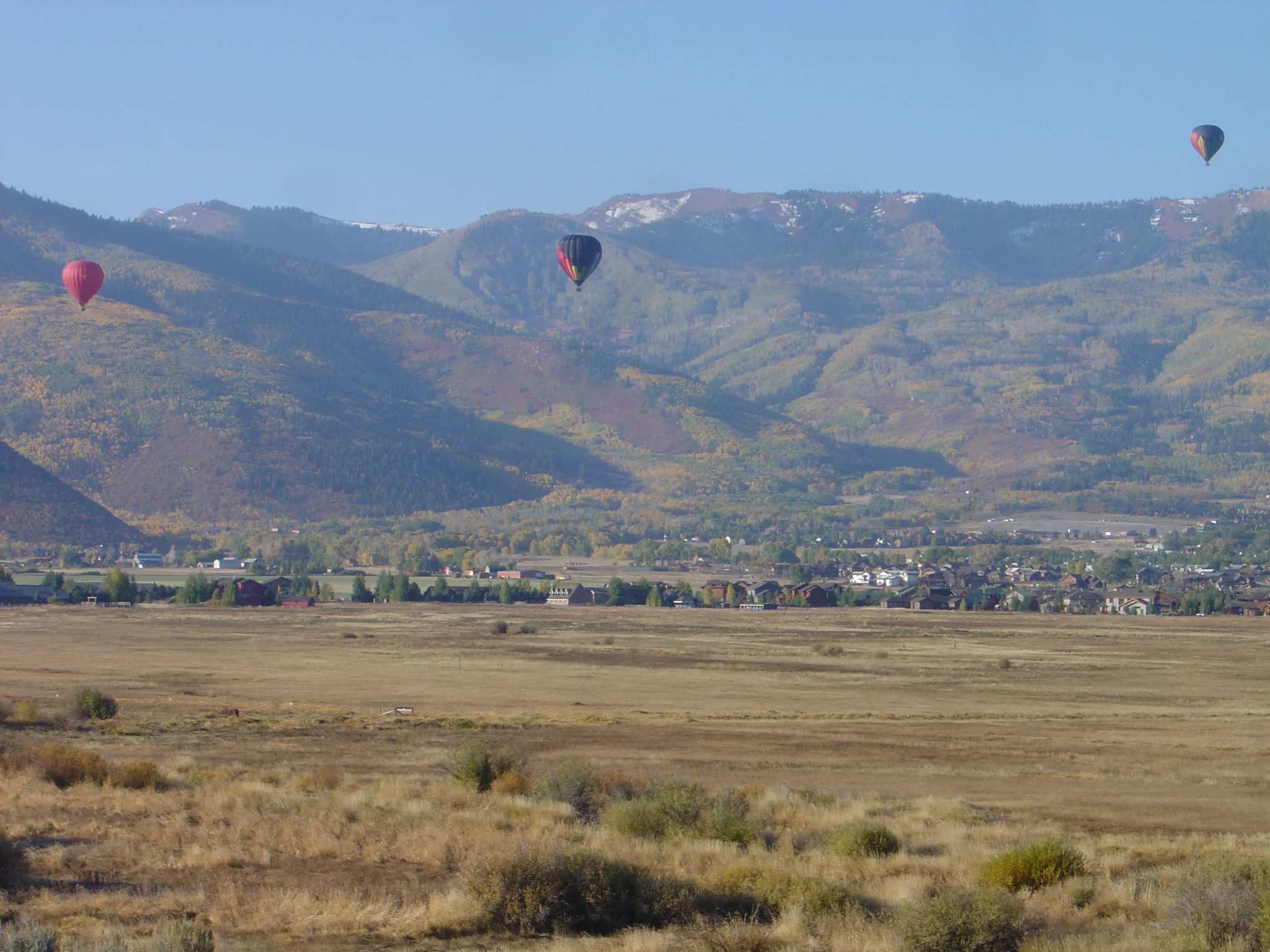 PC Swaner Balloon.JPG