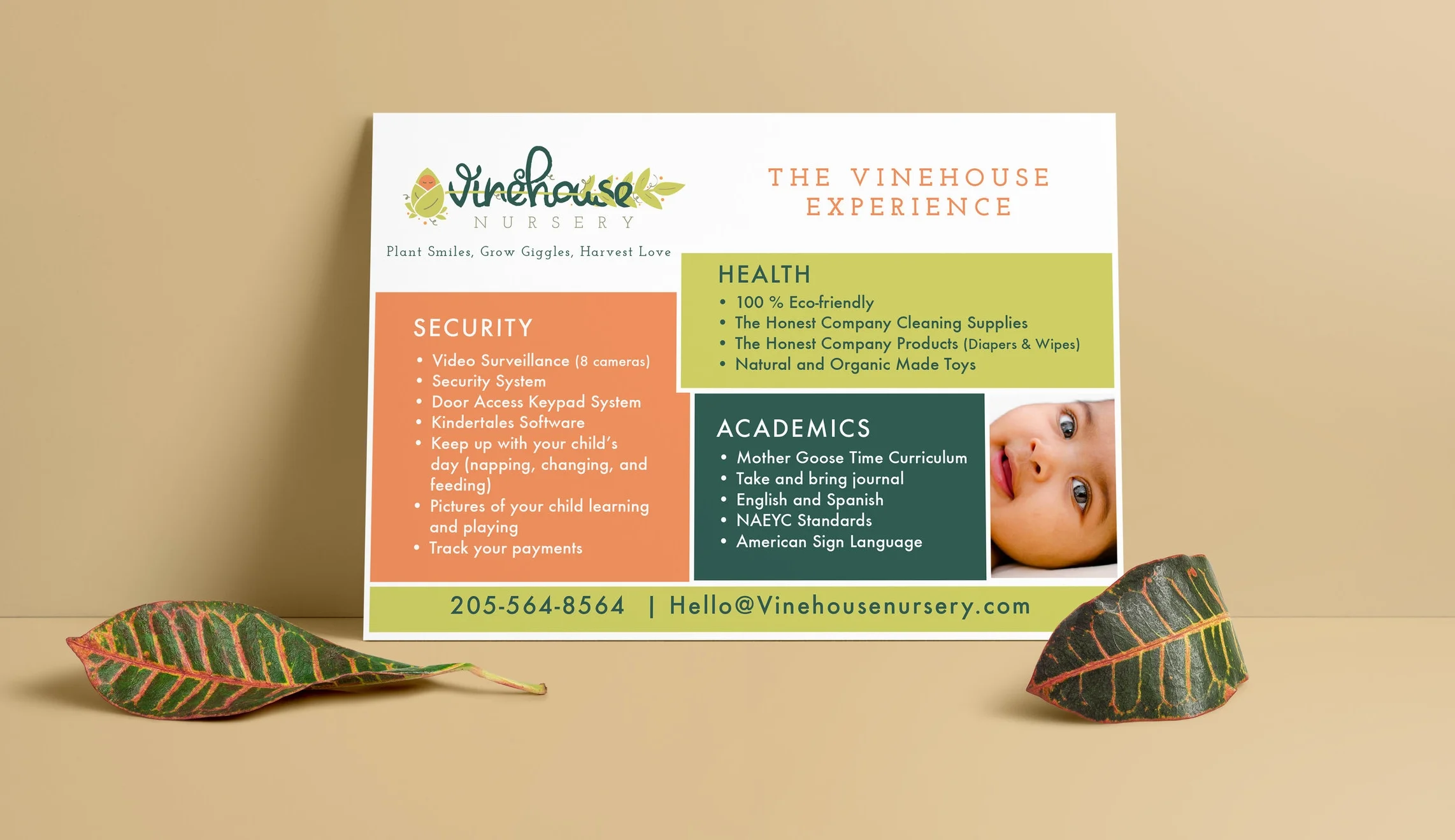 ChampionDreams VineHouse Nursery