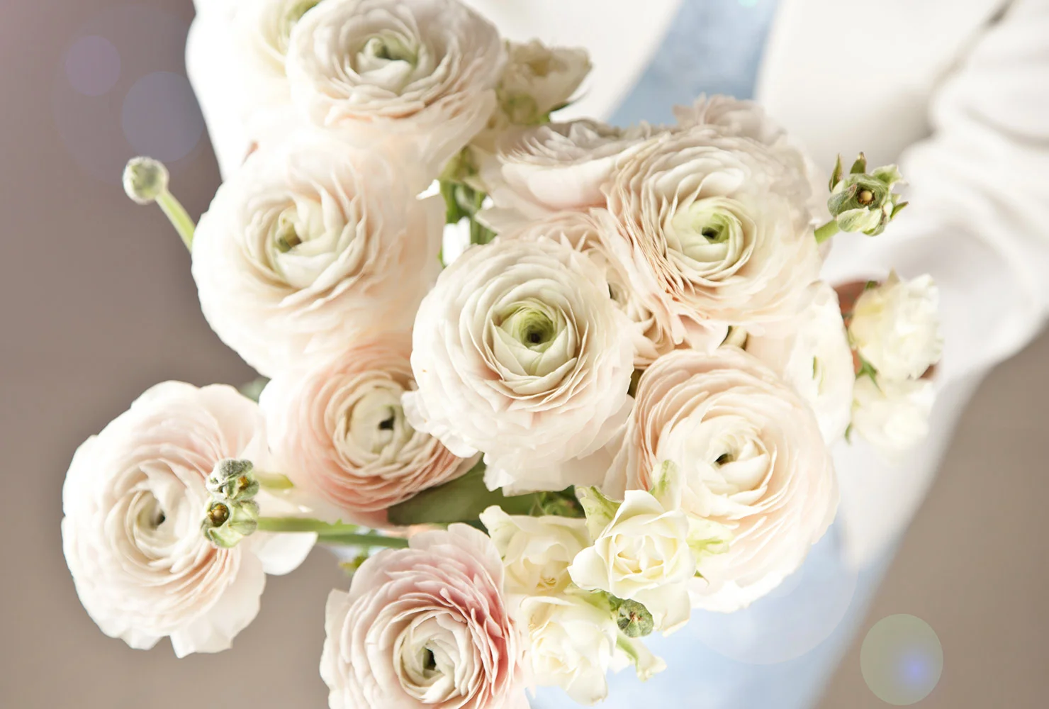 common-wedding-flowers-ranunculus-1.jpg
