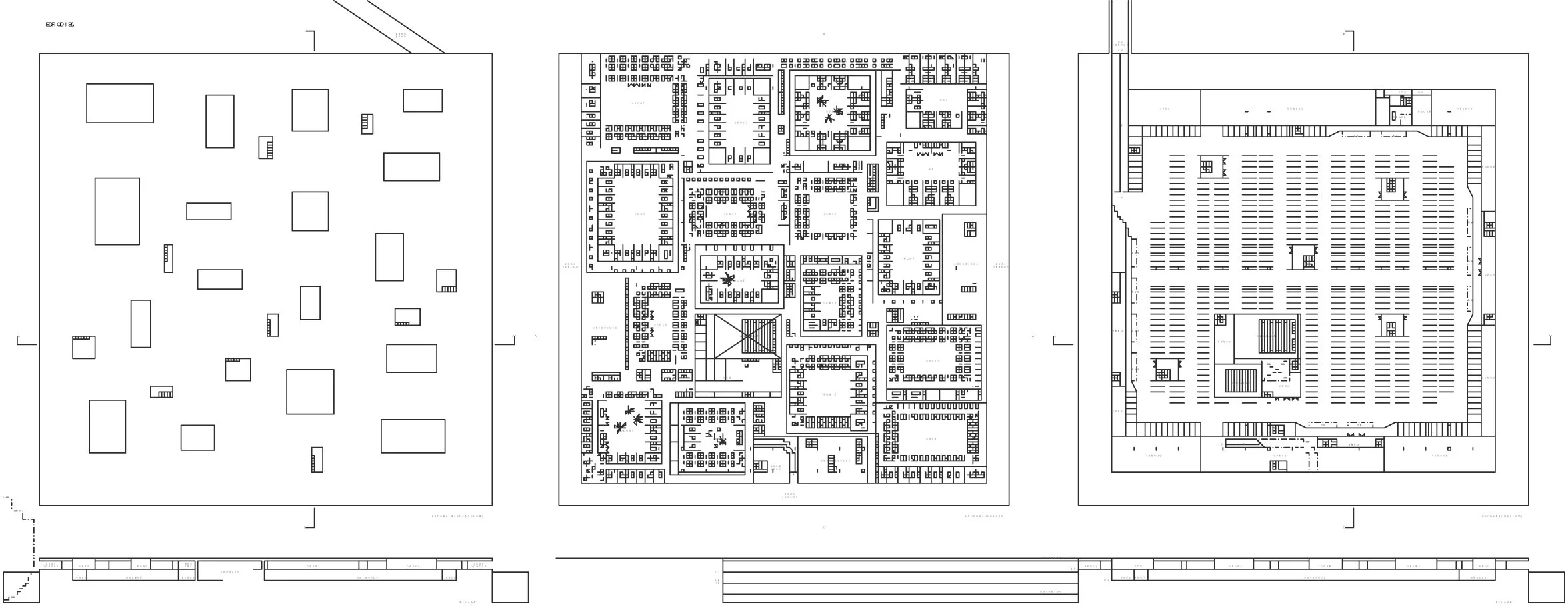 lpa3 copy.jpg