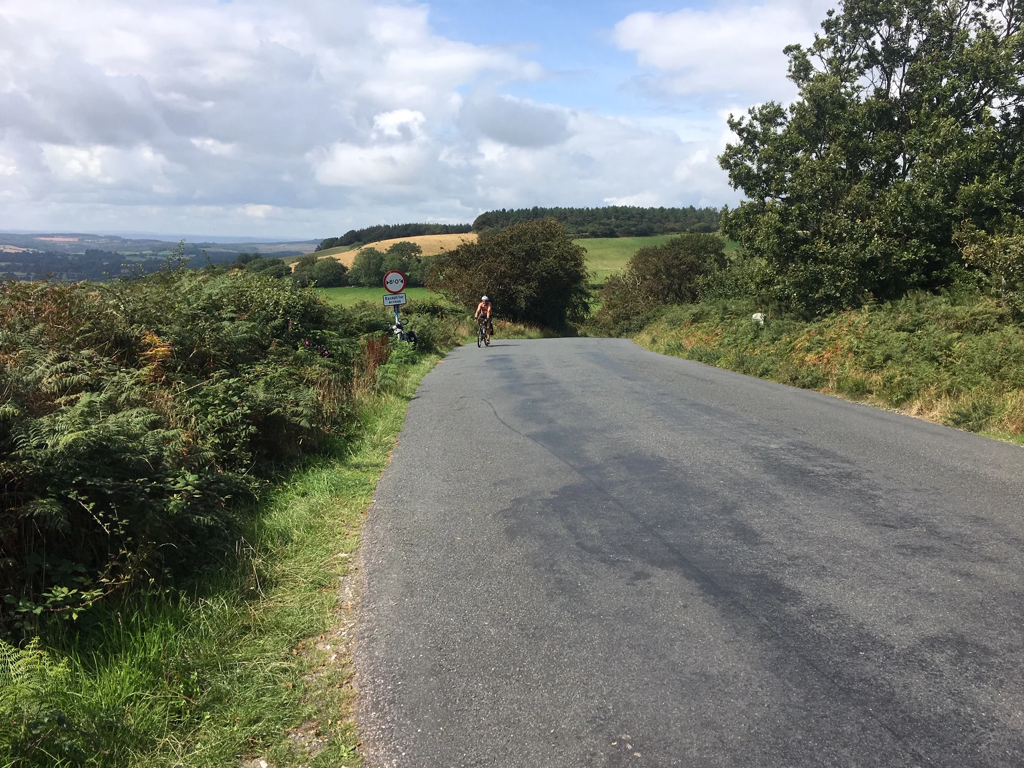 Dooblay Chevroné purgatory