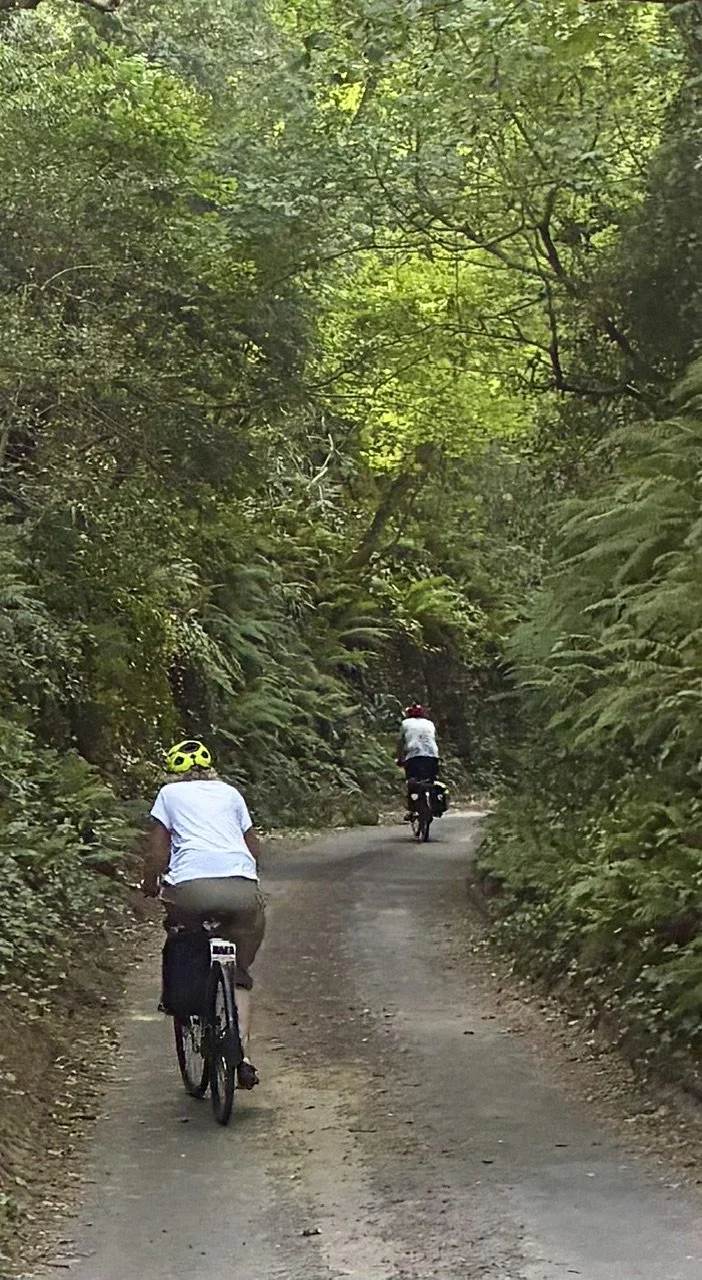 "and the deep lane insists on the direction into the village"