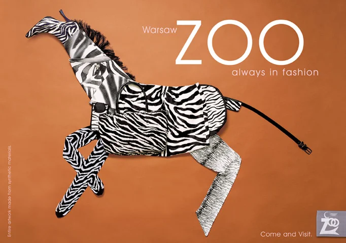 zoo_zebraEN.jpg