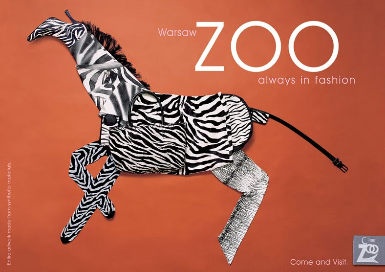 41zebra.jpg