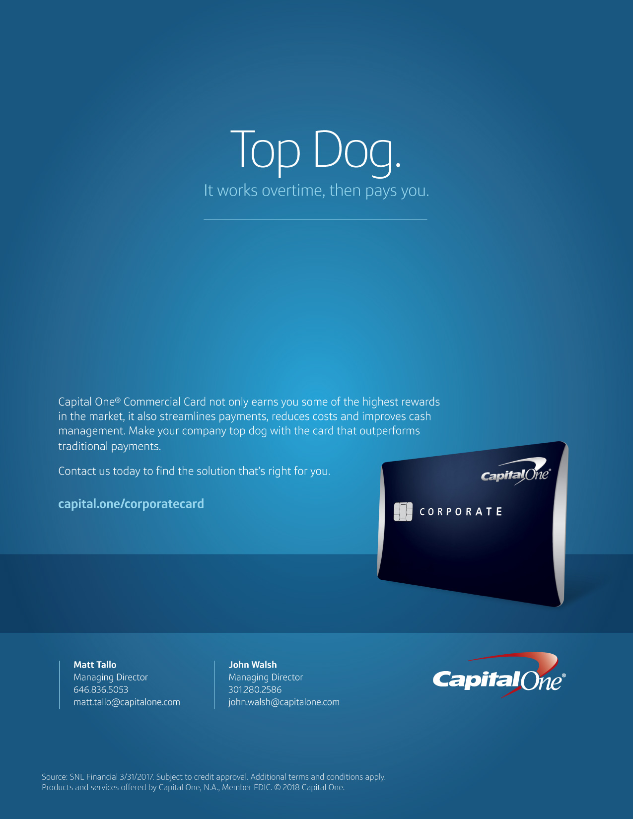 topdog.jpg