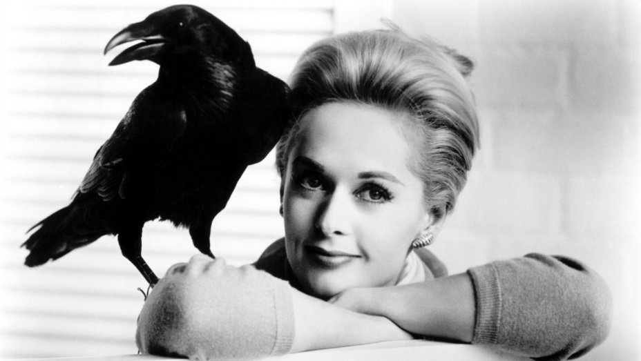 Episode 57: Alfred Hitchcock's THE BIRDS with Haley Manrique