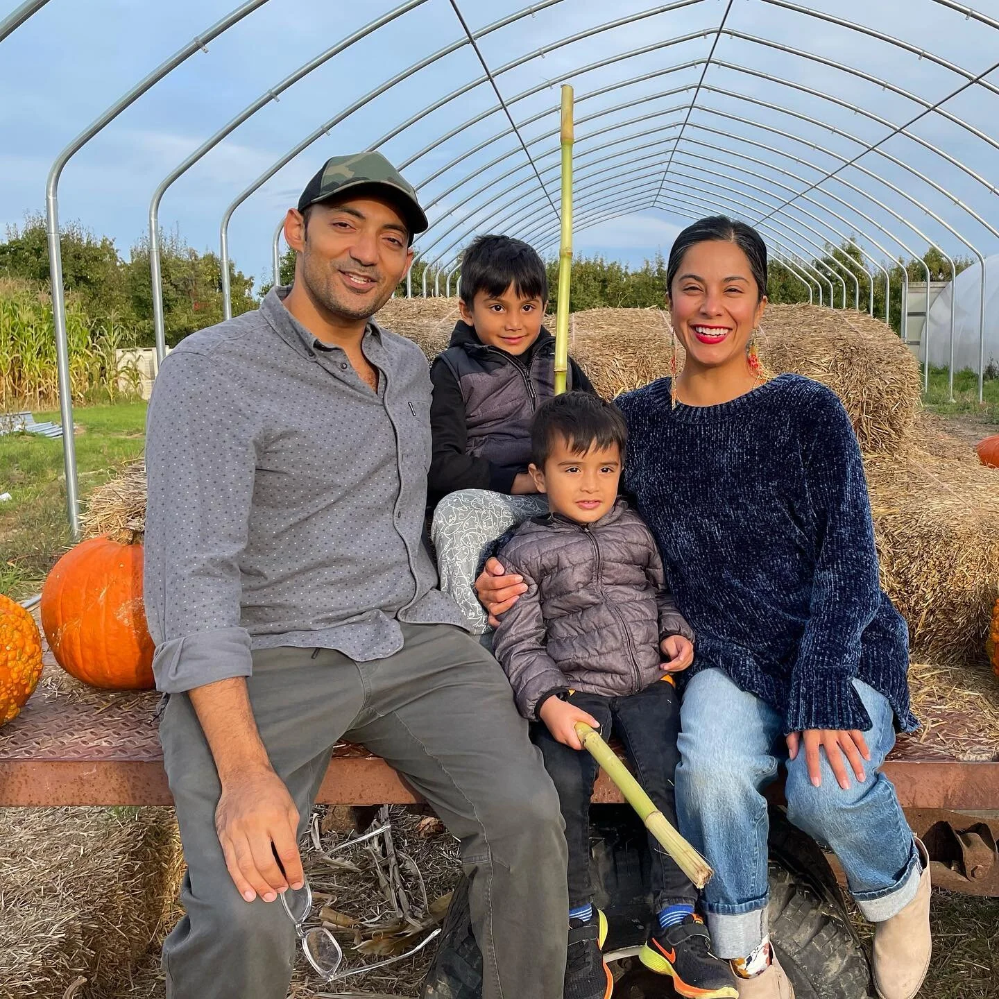 Autumn sunshine and traversing amongst the ma&iacute;z 🌞