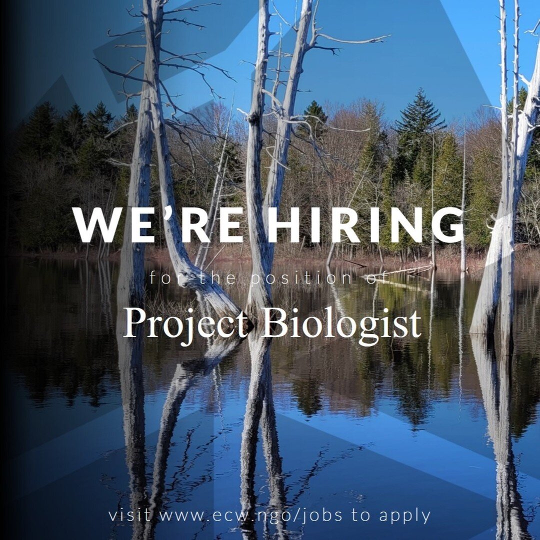 We're hiring! This job is for folks who like field work and are capable working with data. If you have training or experience in a field related to biology, check out the posting on our website, www.ecw.ngo/jobs (link in bio)