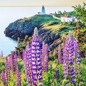 ECW at Island Fest on Grand Manan 