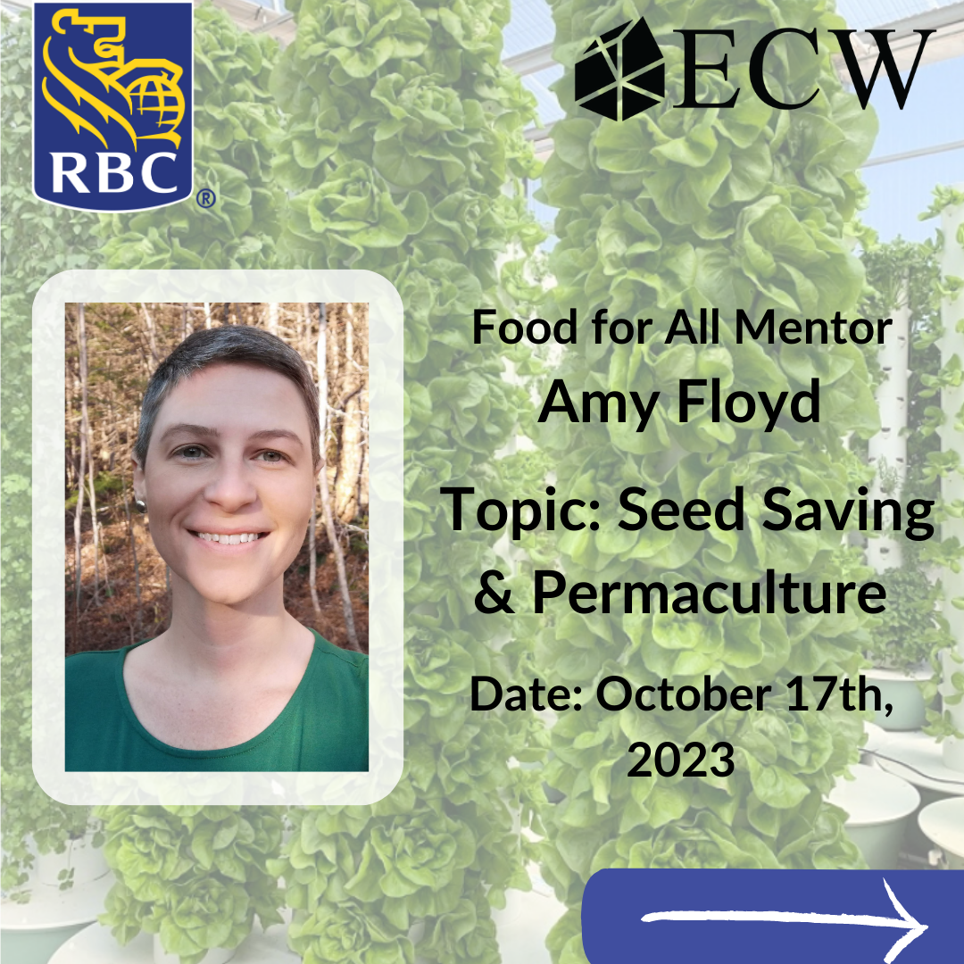 Here We Grow, Again! Webinar Series: Amy Floyd discusses seed saving and permaculture 