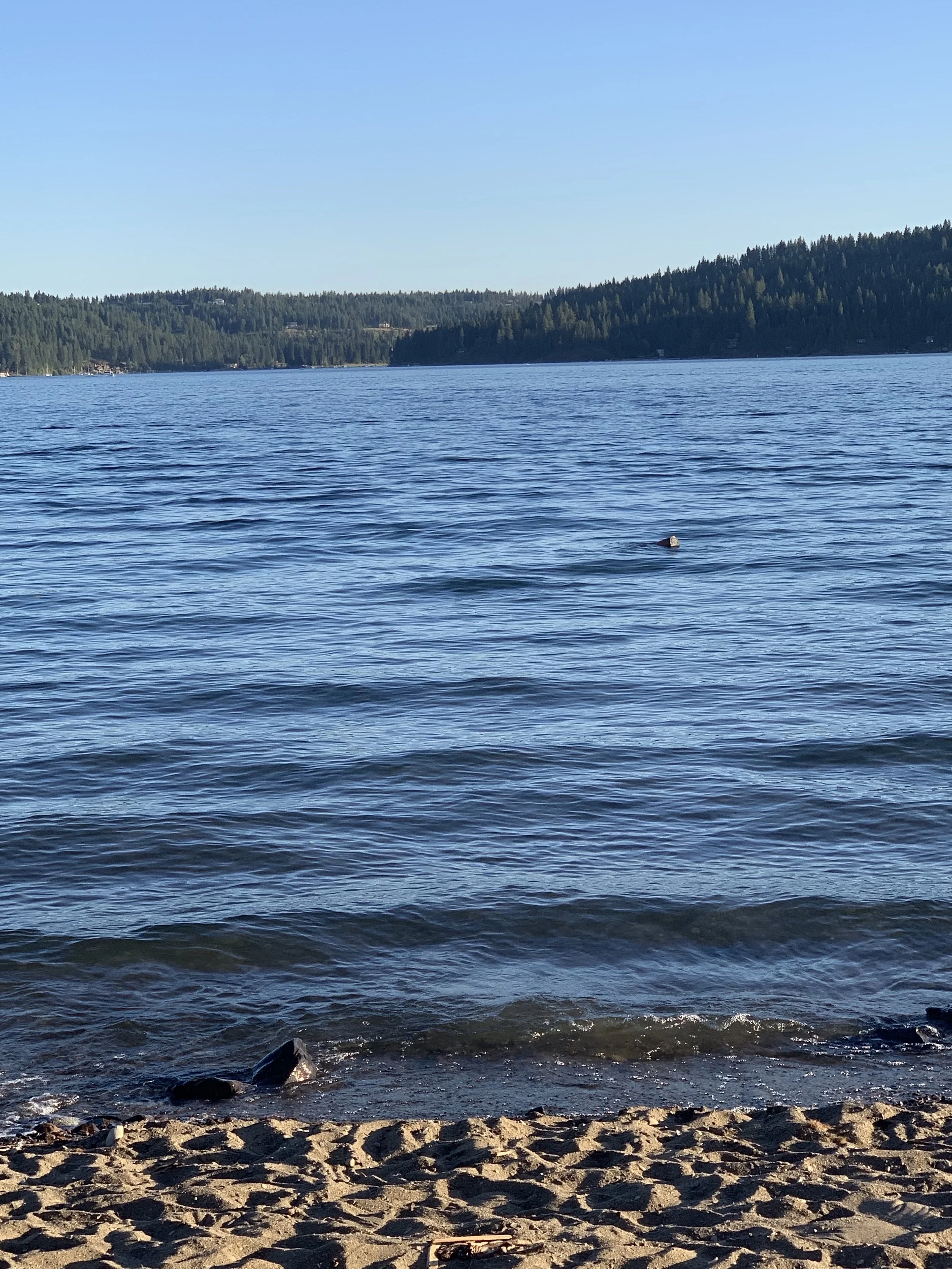 Lake Coeur d’Alene, ID
