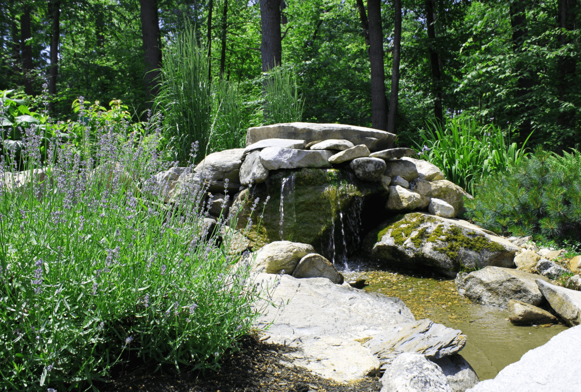 Milford, NH top landscaper with stunning landscape design ideas