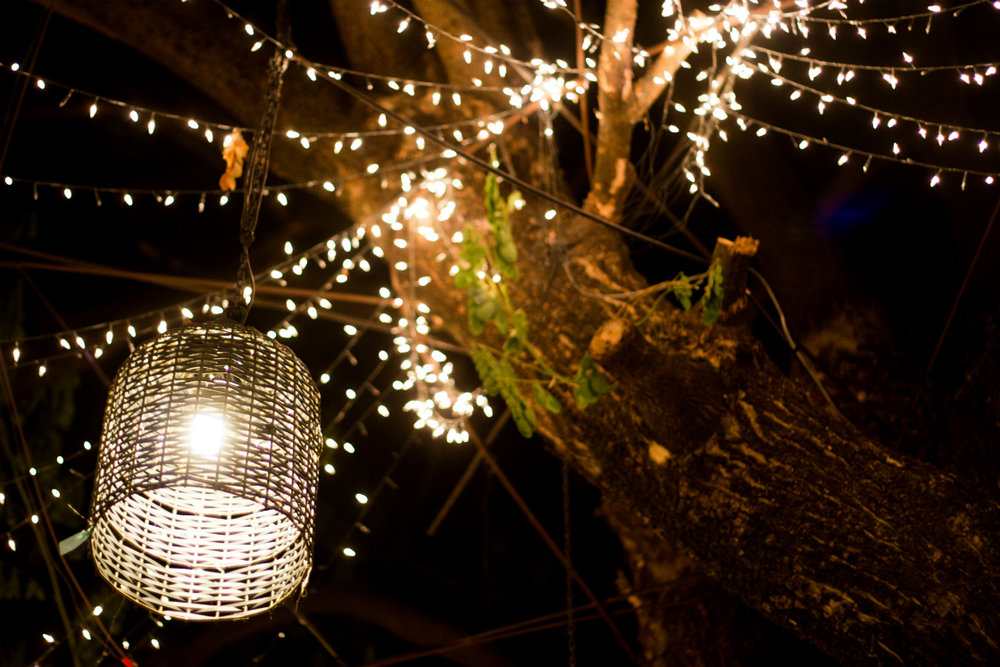 7 Gorgeous Decorative Outdoor Lighting, Decorative Outdoor Lights For Trees