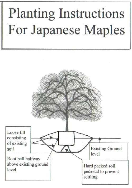 Planting_Instructions.jpg