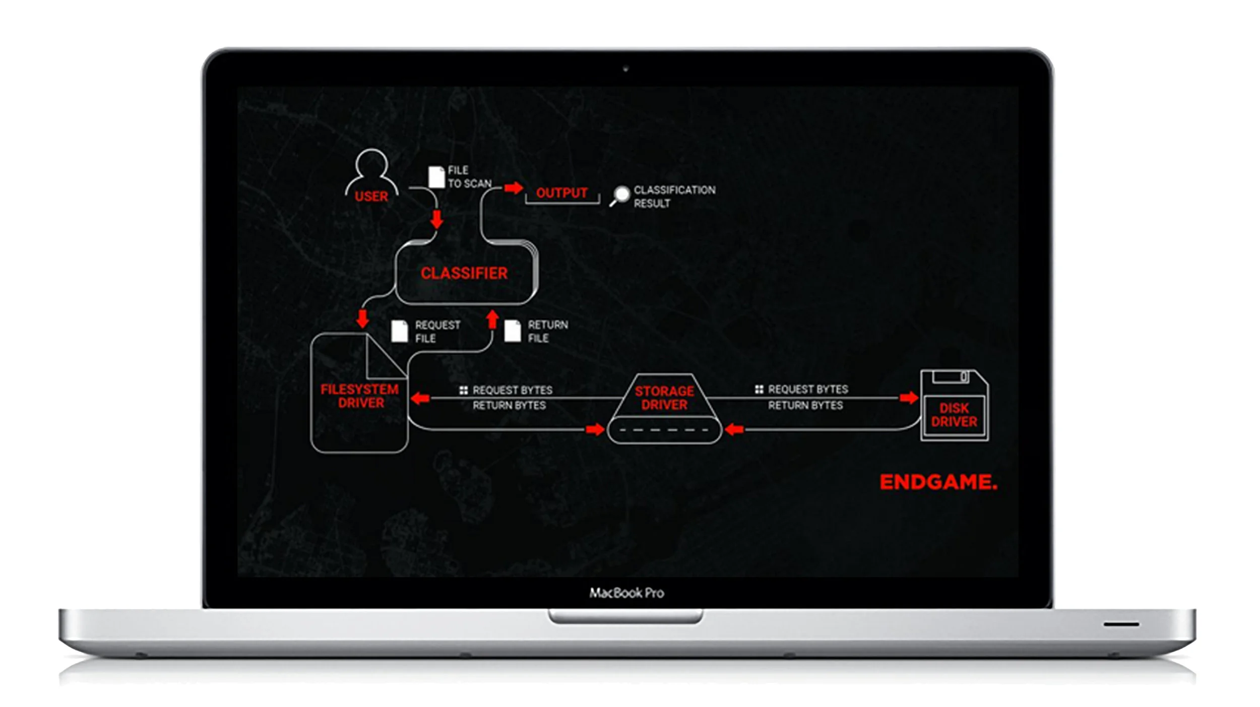 infographic image.jpg