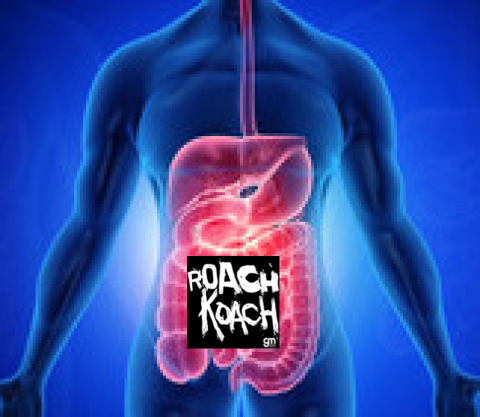 Episode 485: Who’s Tweeting “Gut health confusion”