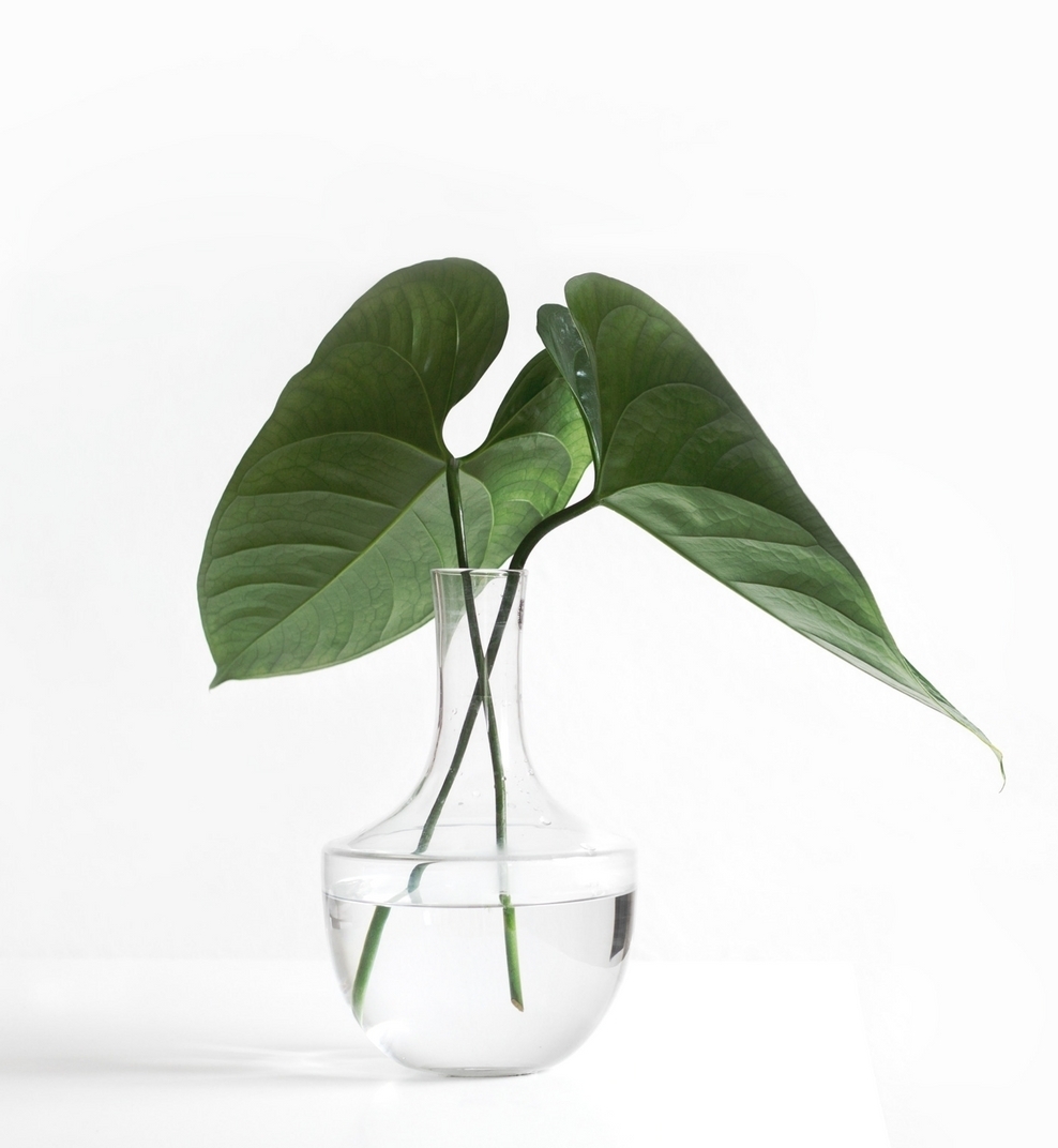 Untitled design (14).jpg