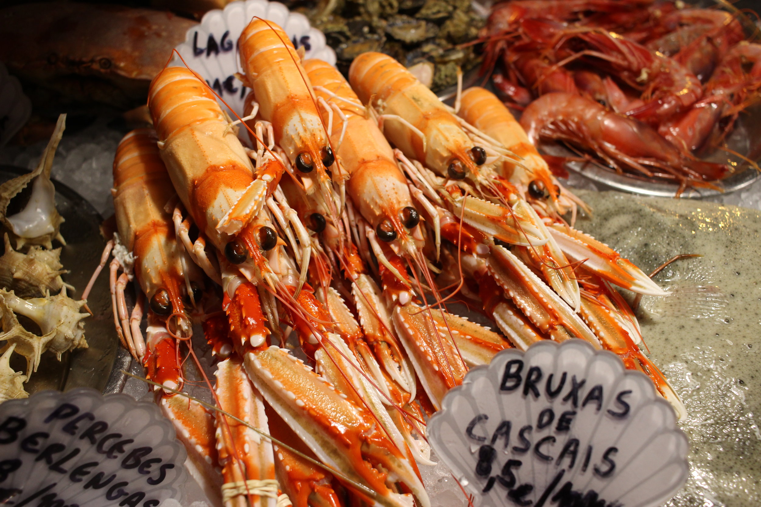 Crustaceans in Cascais