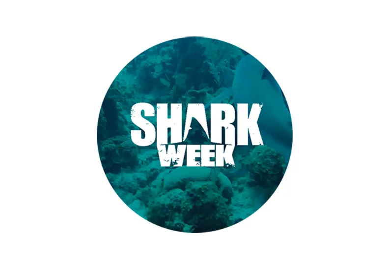 shark week circle.jpg