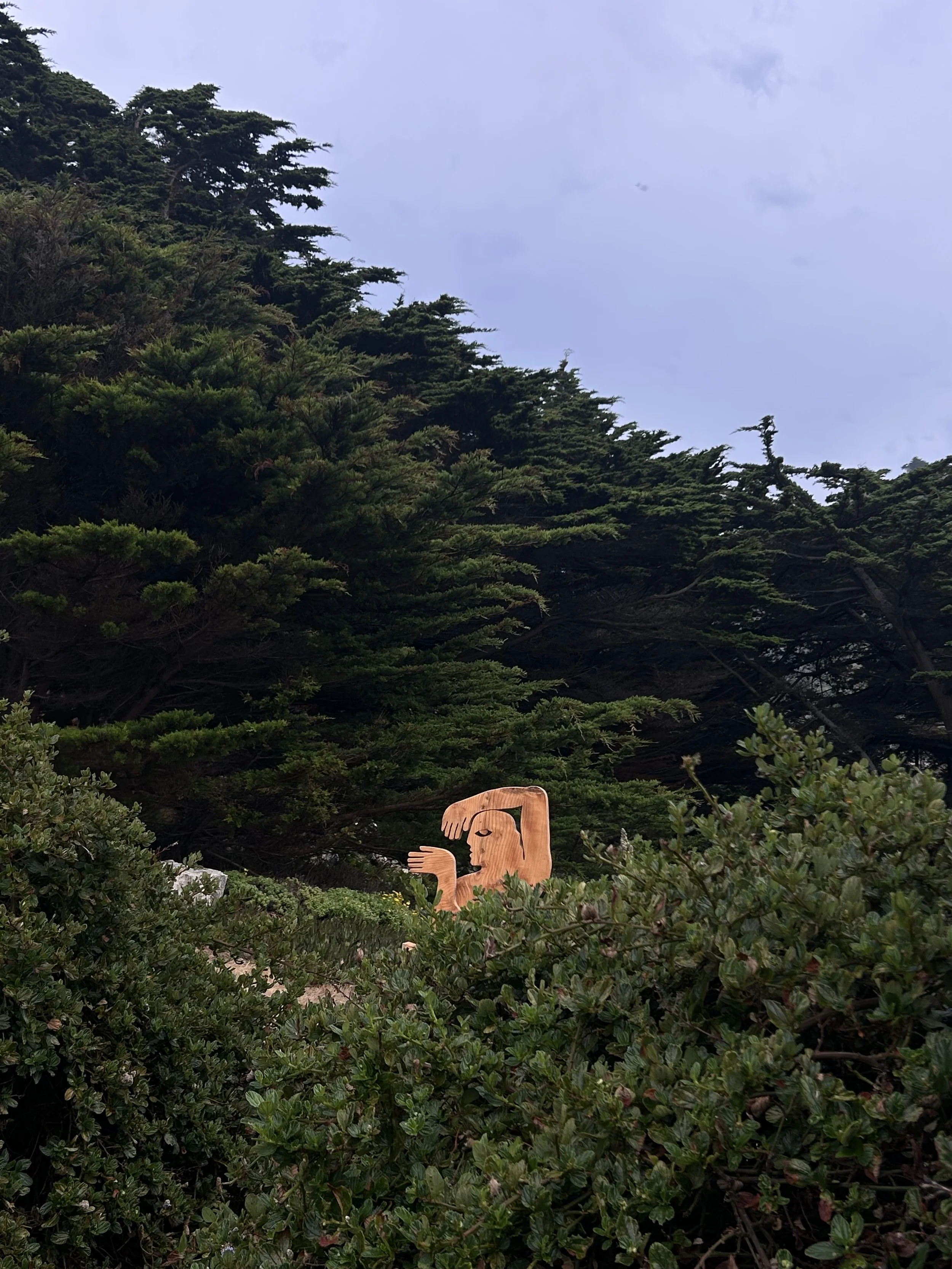 IMG_3237.jpeg