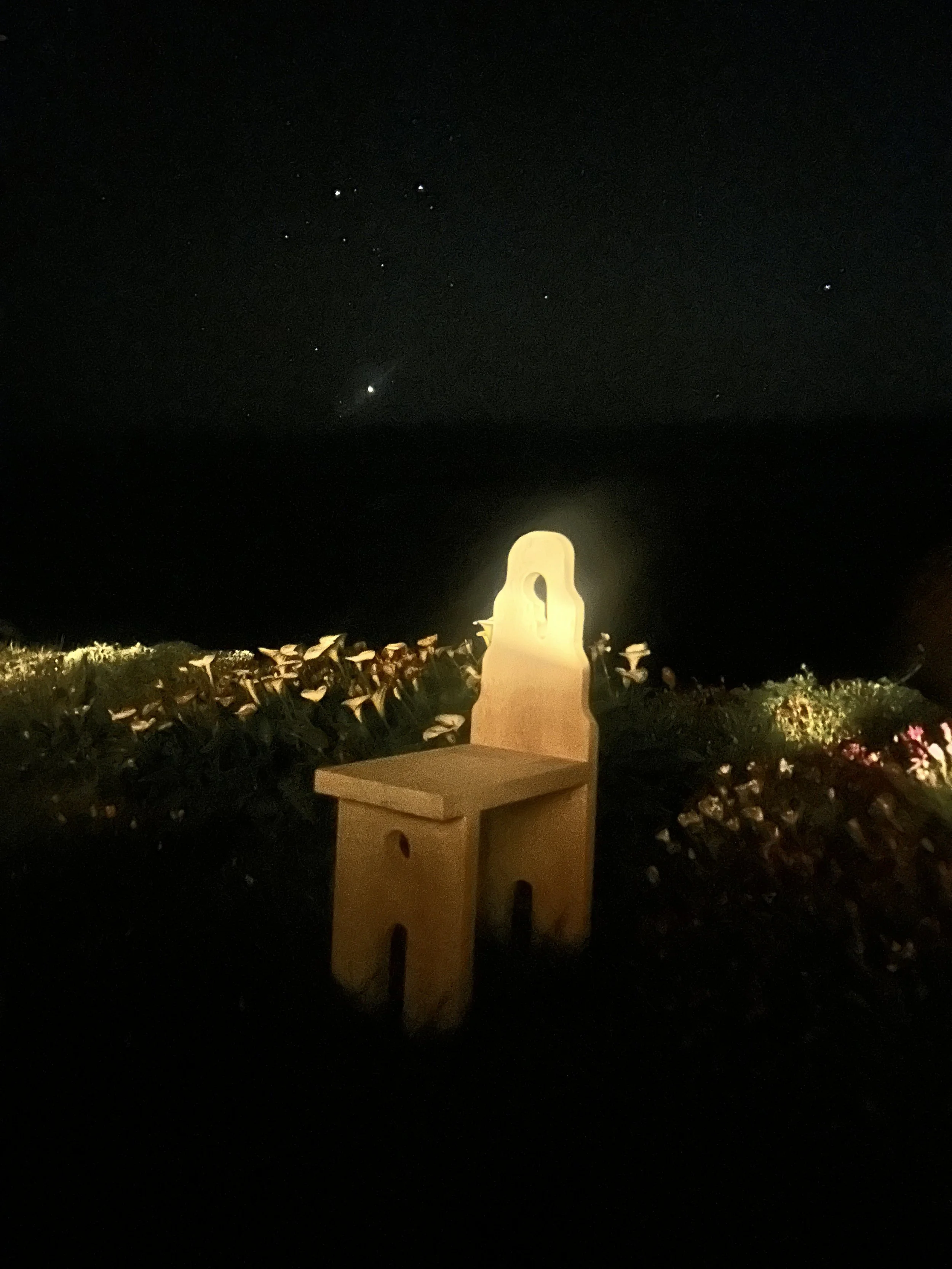 IMG_9608.jpeg