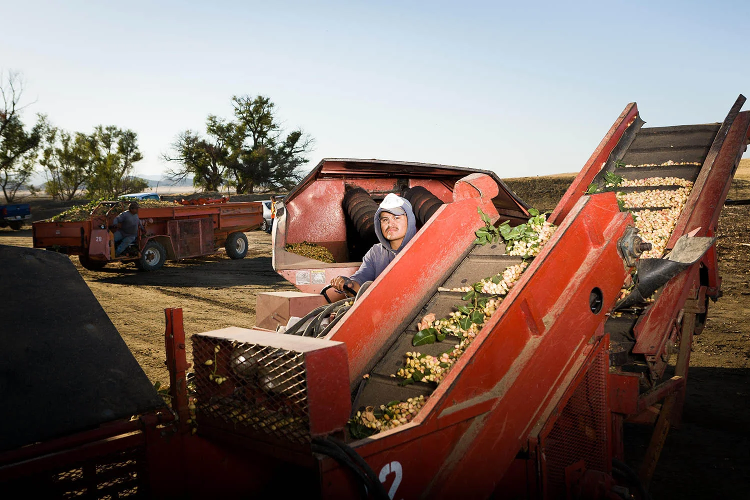 Pistachio harvest near Lost Hills, CA. September 15, 2009