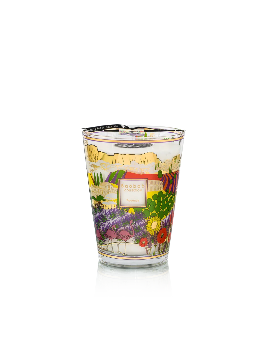 baobab provence lg.webp