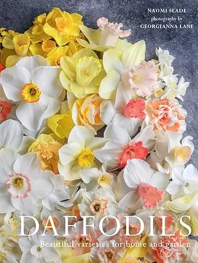 Daffodils: Beautiful Varieties for Home & Garden