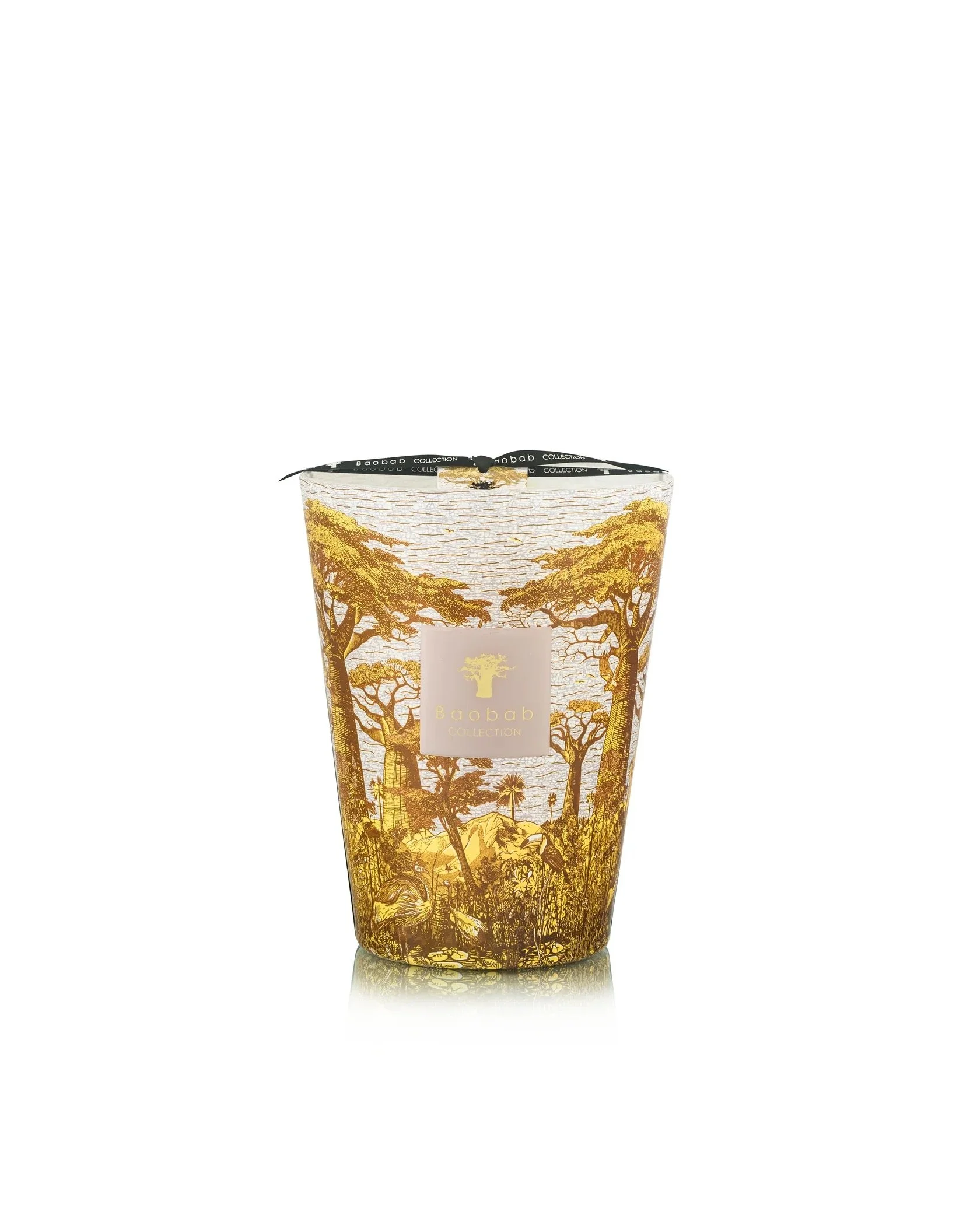 baobab bounkani 9.45.jpeg