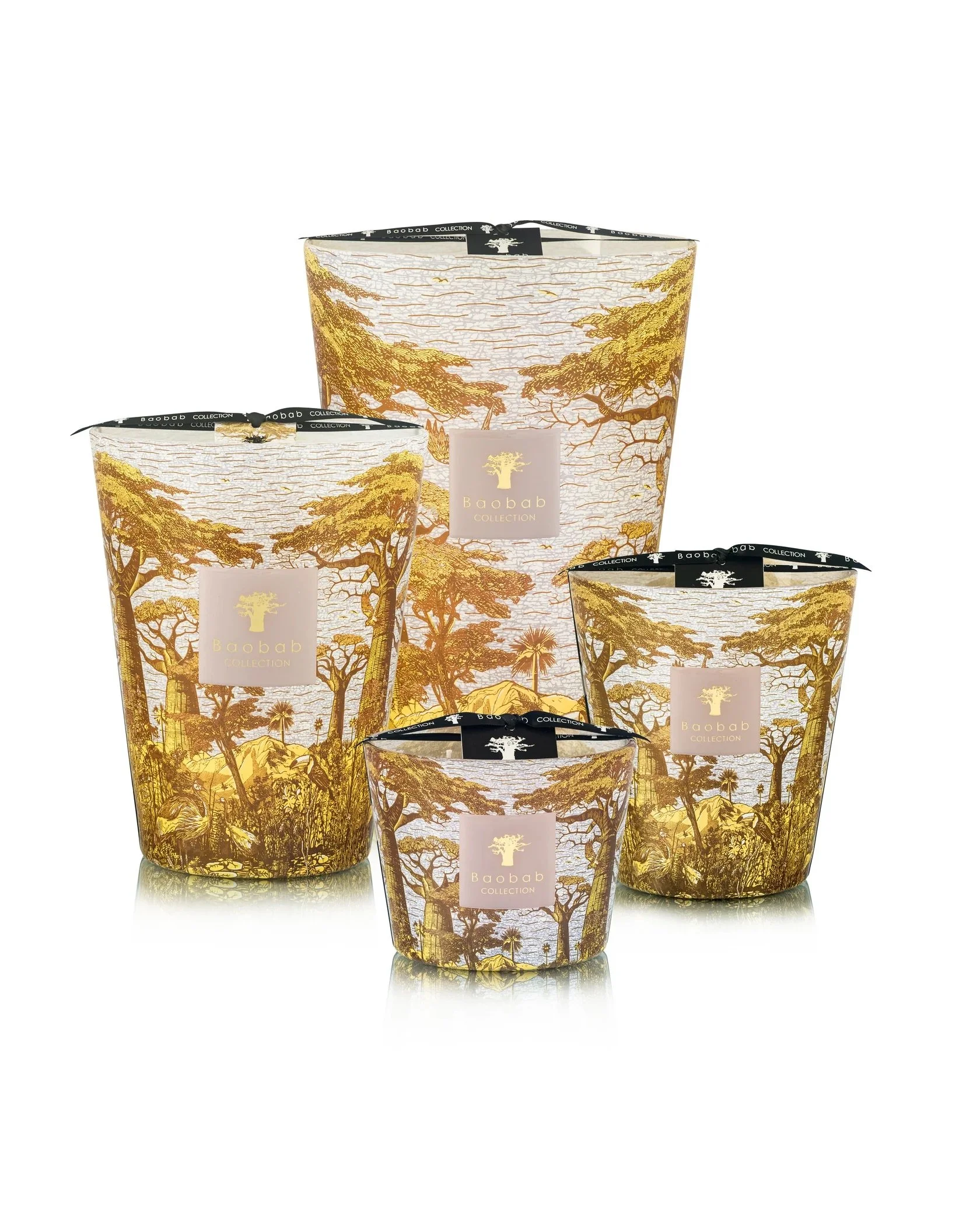 baobab bounkani all.jpeg