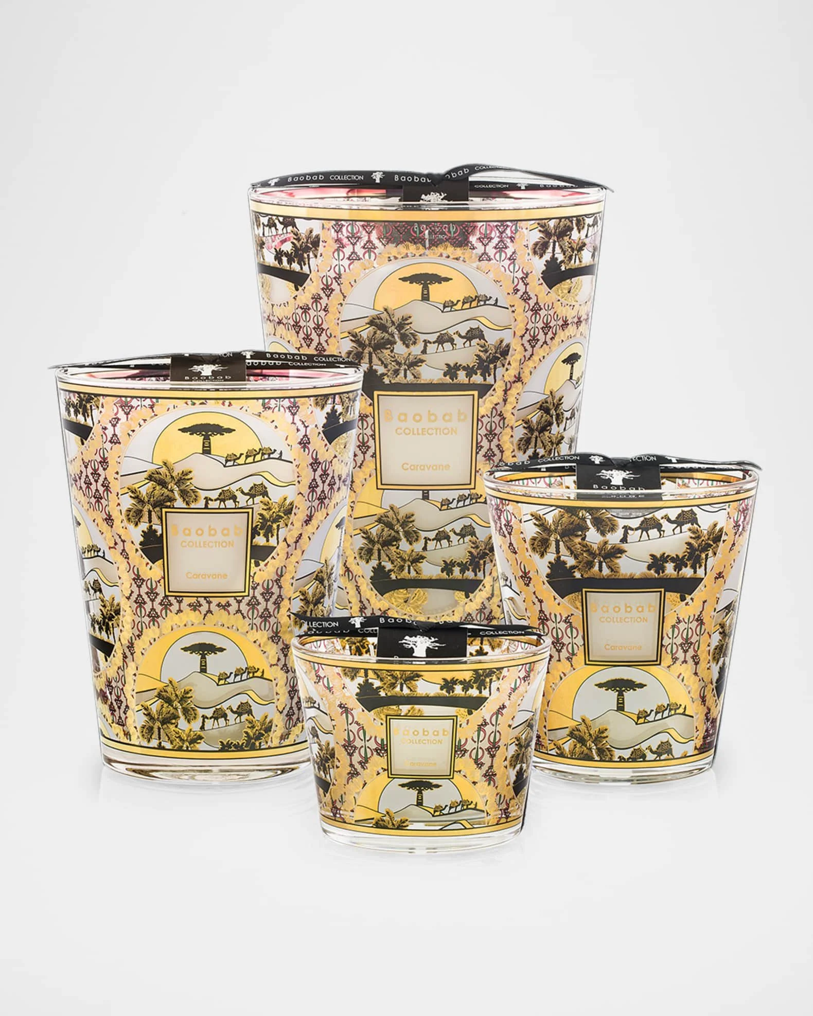 Baobab Caravane all.jpeg