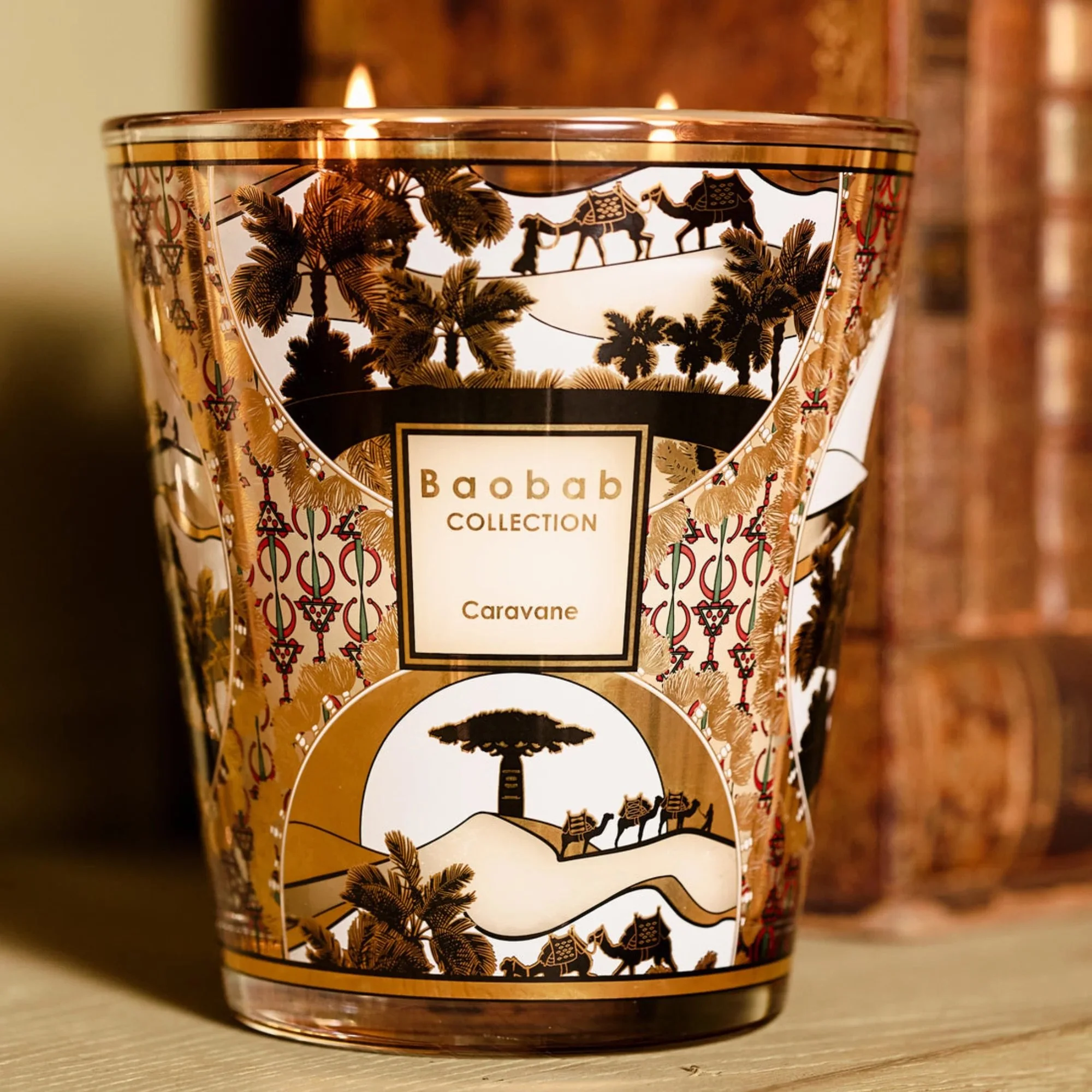 Baobab Caravane 6.3.jpeg