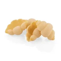 La Fabbrica Pasta Gnocca shells.webp