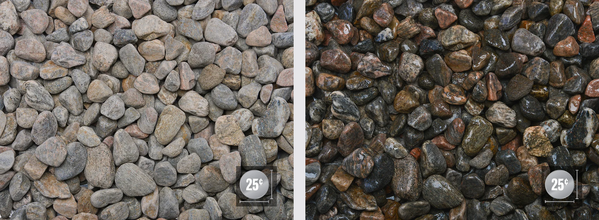 1" (Left: Dry, Right: Wet)