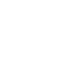 STEPS - SLABS.png