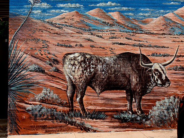 2195 Main - corner of Madrid & Main Organ Mountains/Landscape Chris Goodheart 2010