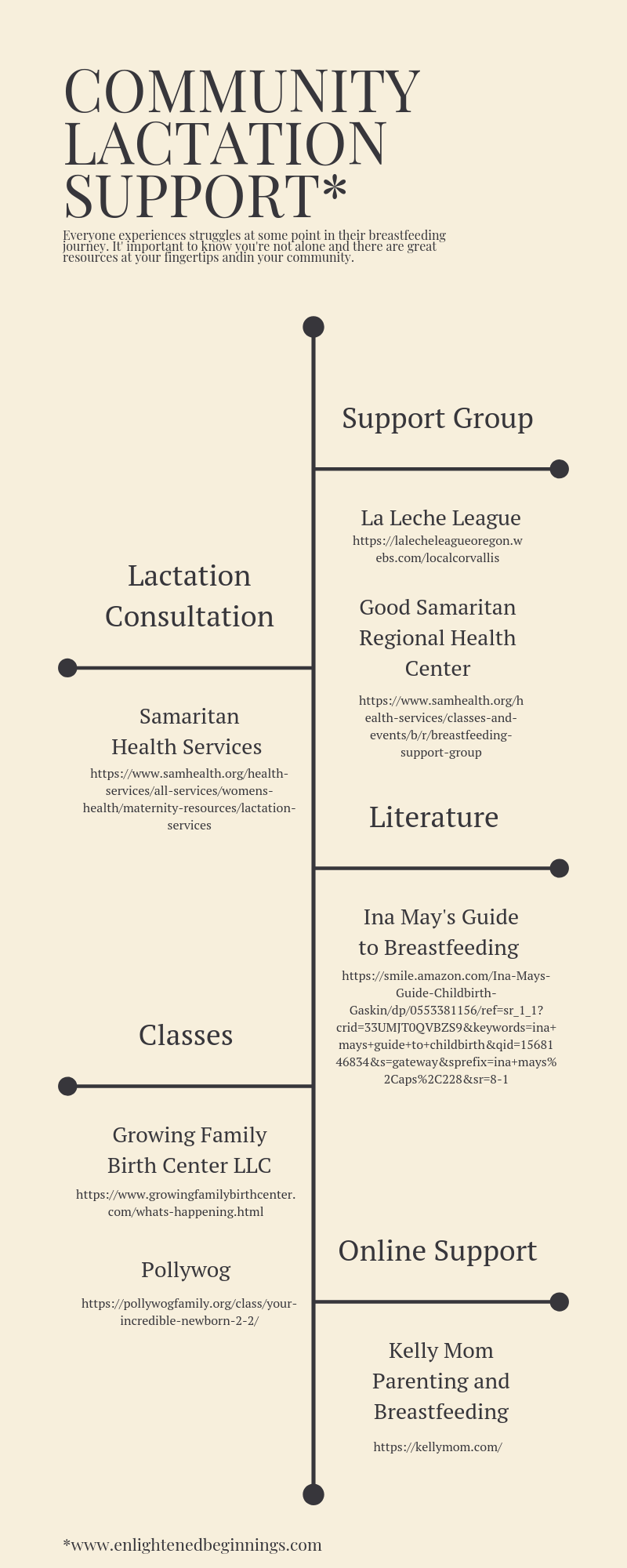 Community Lactation Support_.png