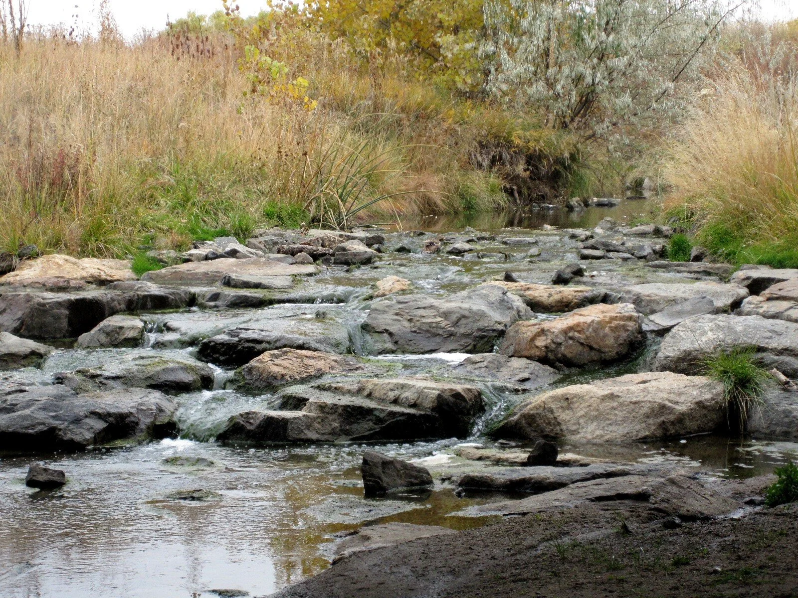 About-Cottonwood creek drop.JPG