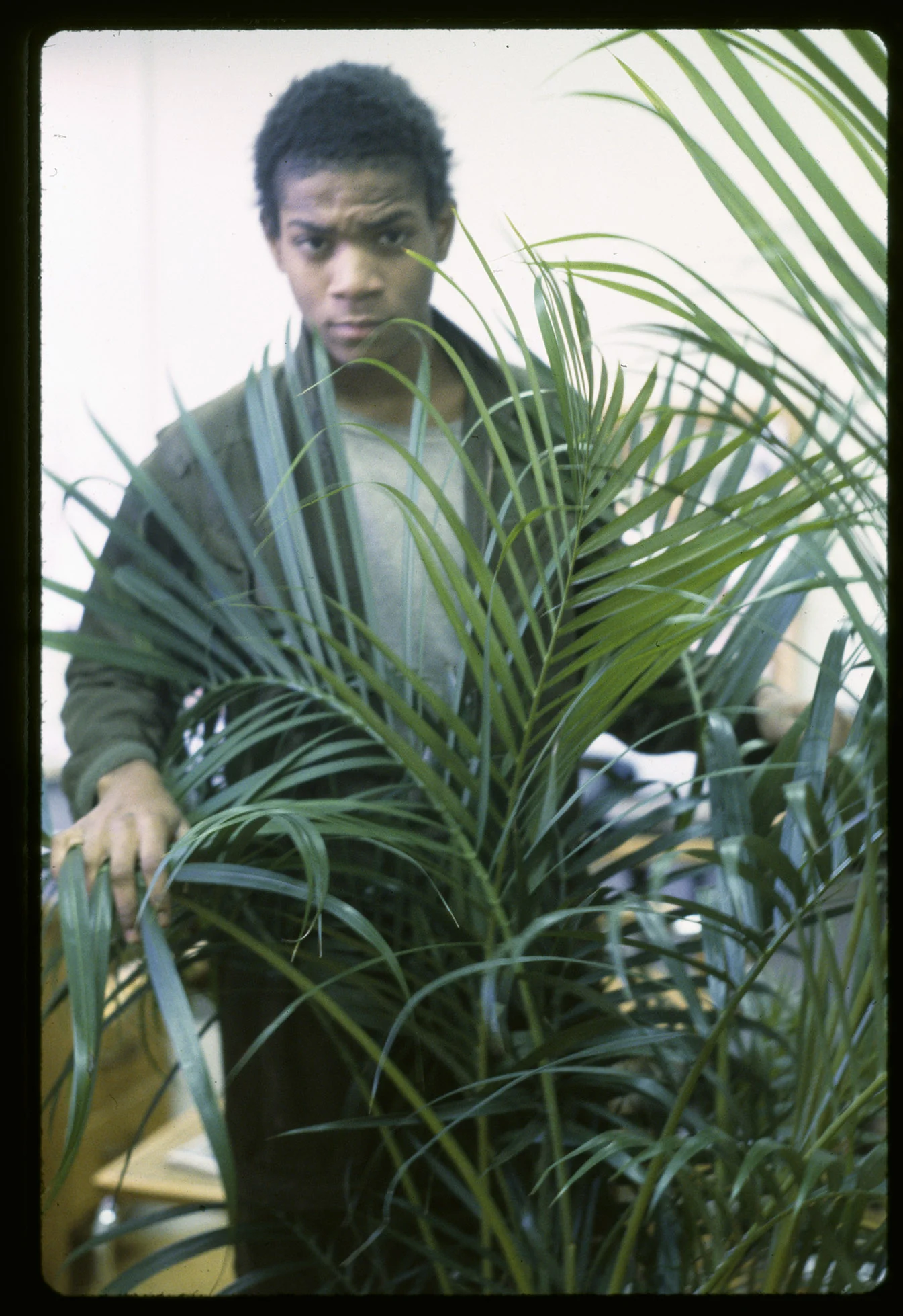 Boom for Real: The Late Teenage Years of Jean-Michel Basquiat
