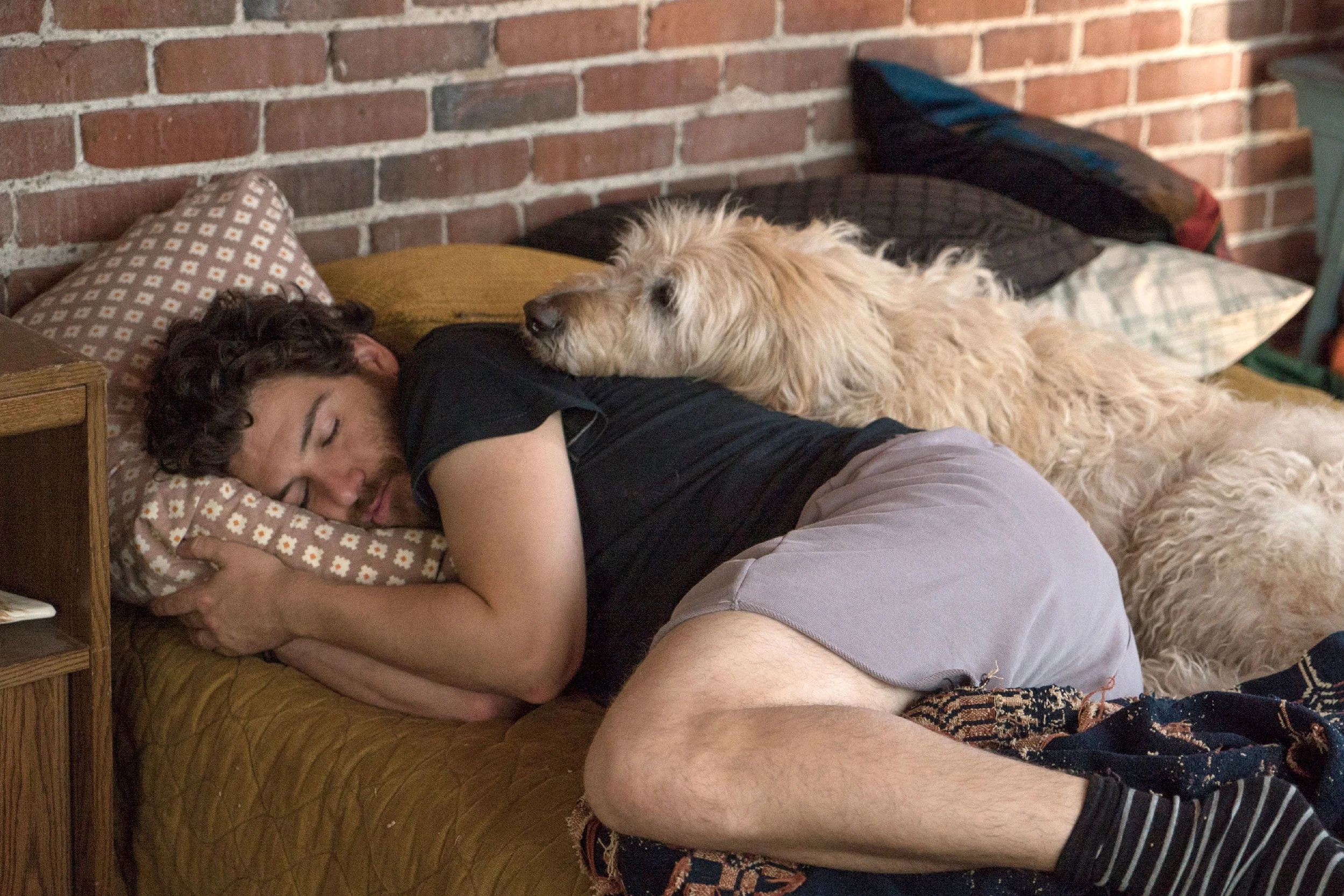 Dog Days