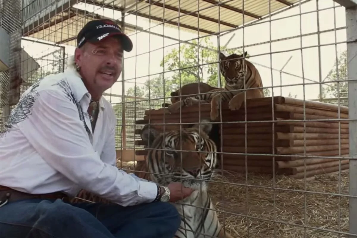 Tiger King