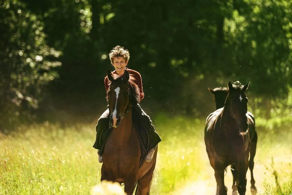 Out Stealing Horses