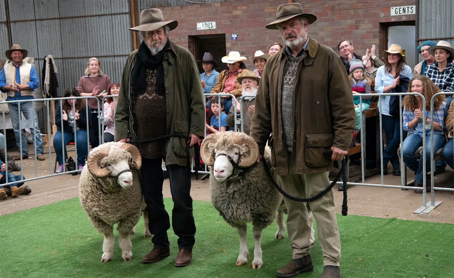 Rams